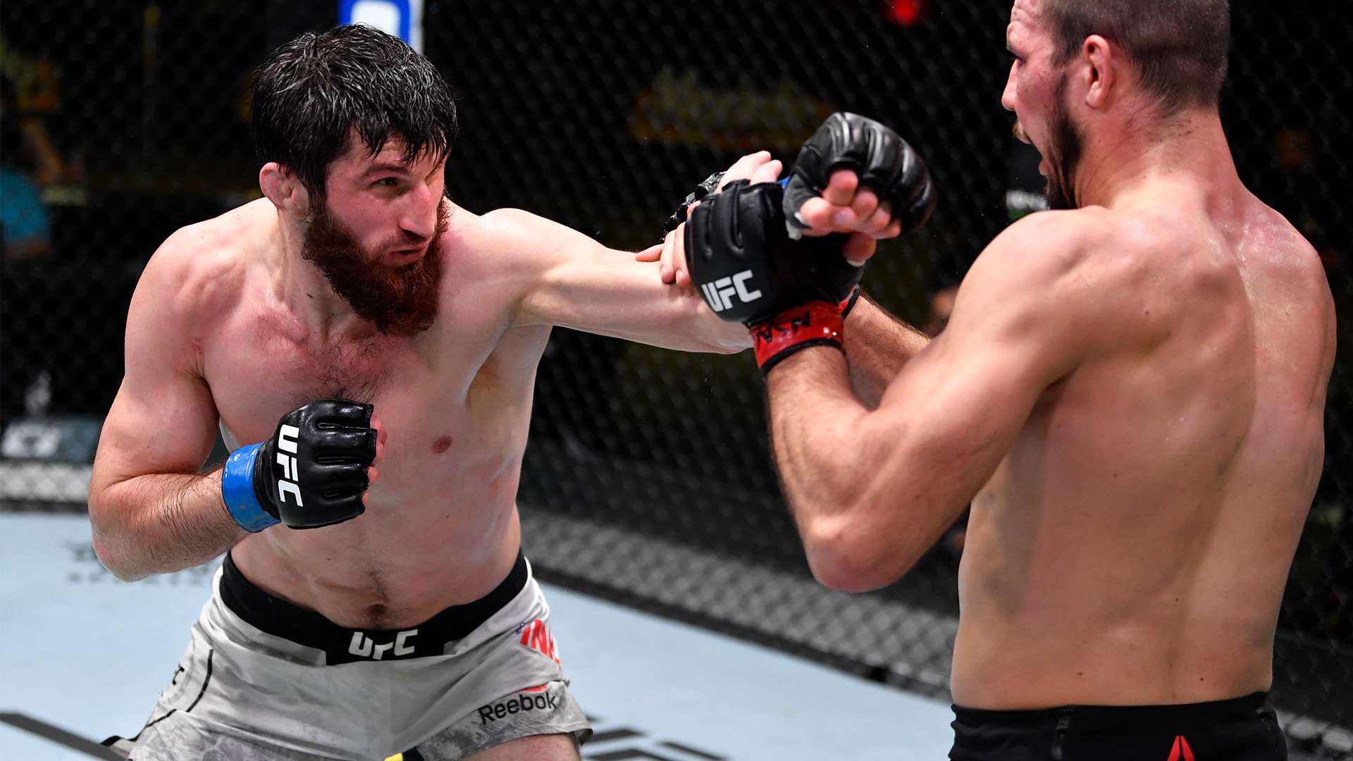 另辟蹊径 另辟蹊径